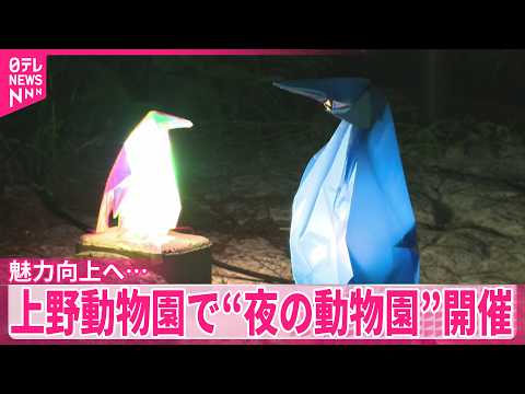 【“夜の動物園”開催】「パンダ不在」の上野動物園…魅力向上へ新たな取り組み thumbnail