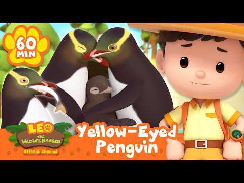 HAPPY PENGUIN FAMILY REUNITES! | Leo the Wildlife Ranger | Learning Animal Cartoons thumbnail