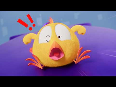 Where's Chicky? SEASON 4 | Full Speed Chicky! | A Xilam Series | Xilam TV thumbnail