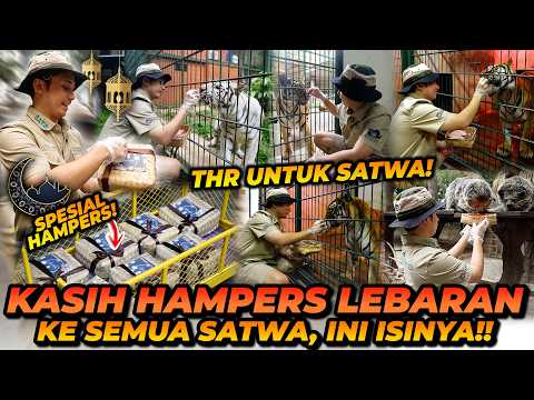 THR UNTUK SATWA2! JINORA MALAH GASUKA SAMA THRNYA?! ALSHAD SAMPAI DIG1G1T BINTURONG! thumbnail