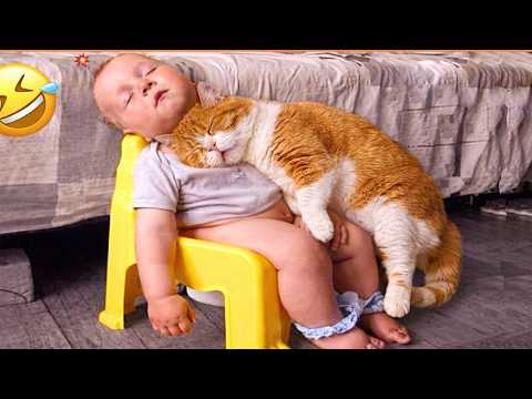 Cats Truly Love Babies as if They Were Their own, Here's TheProof thumbnail