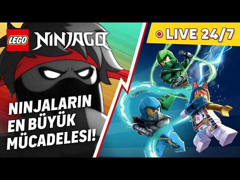 ? 24/7 Canlı Yayın | LEGO NINJAGO: Ejderhaların Yükselişi Sezon 3 ve Canavarlar Diyarı ? thumbnail