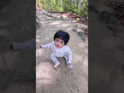 Sesat dalam hutan thumbnail