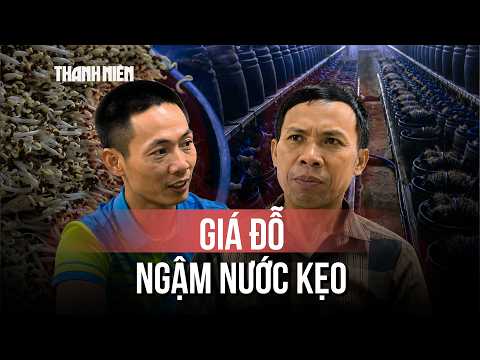 Chủ cơ sở ngâm giá đỗ vào nước kẹo vì 'làm giá hay bị hỏng' thumbnail