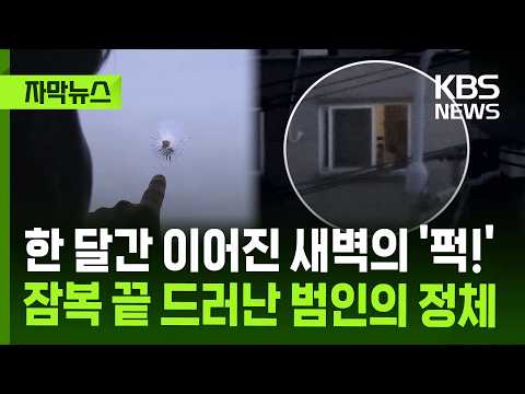 [자막뉴스] 한 달간 이어진 새벽의 '퍽!' 잠복 끝 드러난 범인의 정체 / KBS 2026.05.31. thumbnail