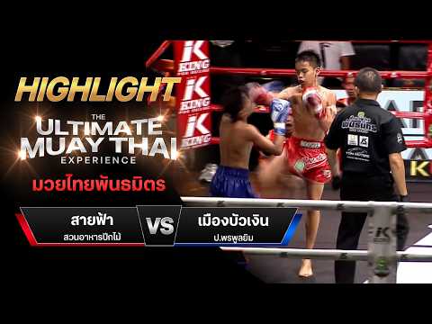 ไฮไลท์มวยไทย มวยไทยพันธมิตร : สายฟ้า สวนอาหารปีกไม้ พบ เมืองบัวเงิน ป.พรพูลยิม thumbnail