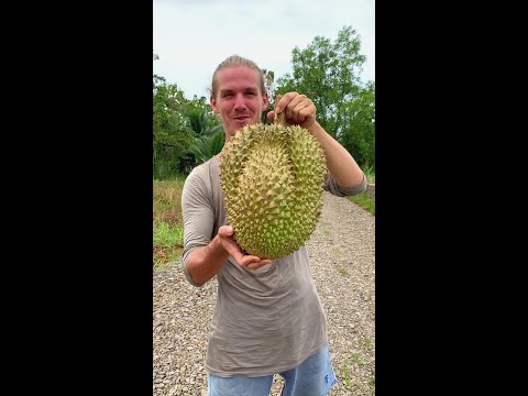 A Monster Durian Fruit thumbnail