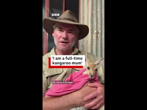 Meet Brolga, the man who gave up everything to become a kangaroo mum ?❤️ thumbnail