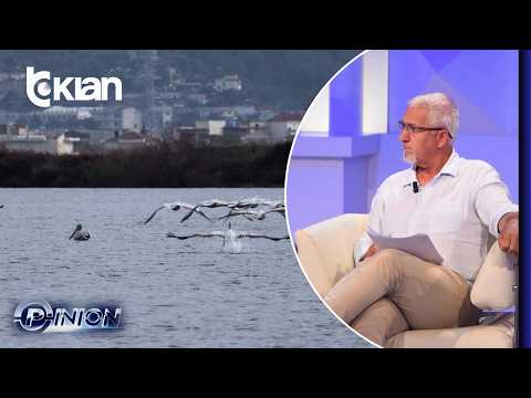 “Pelikani 10 kg, mjafton një përplasje dhe mund të jetë fatale (edhe) për avionin” thumbnail