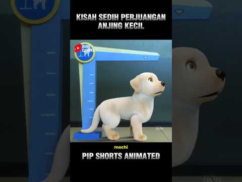 KISAH SEDIH PERJUANGAN ANJING KECIL thumbnail
