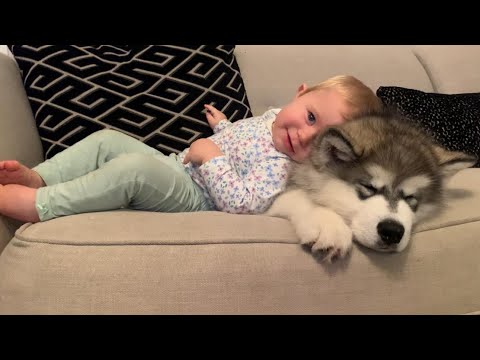 Adorable Baby And Puppy Play Together! (Cutest Ever!!)  thumbnail