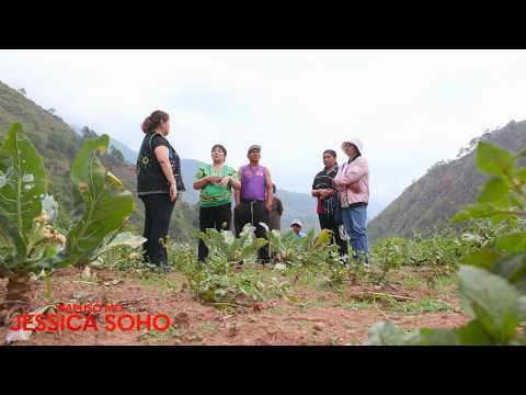Benguet farmers, hinaing ang bagsak na presyo at nasasayang mga ani | Kapuso Mo, Jessica Soho thumbnail
