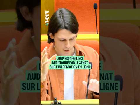 Loup Espargilière auditionné par le Sénat sur l'information en ligne thumbnail