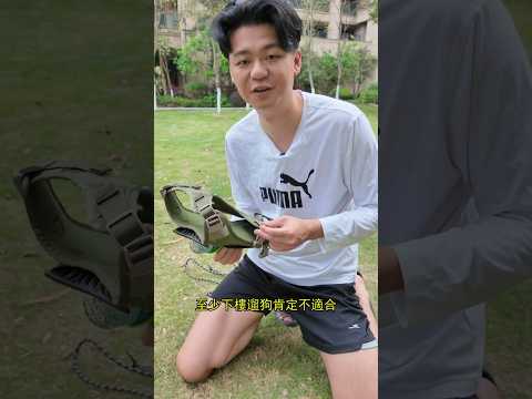 古時候人家的狗還要負責打獵咧！怎麽現在什麽都要我來拿？- 狗狗戰術胸背 thumbnail