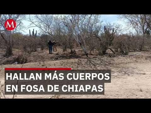 Localizan más cuerpos en fosa clandestina de Chiapas thumbnail