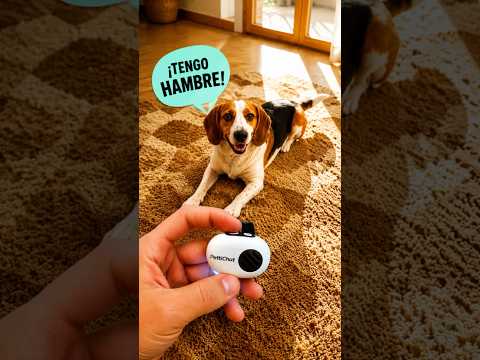 GUAU!!! QUÉ INVENTO!!! thumbnail