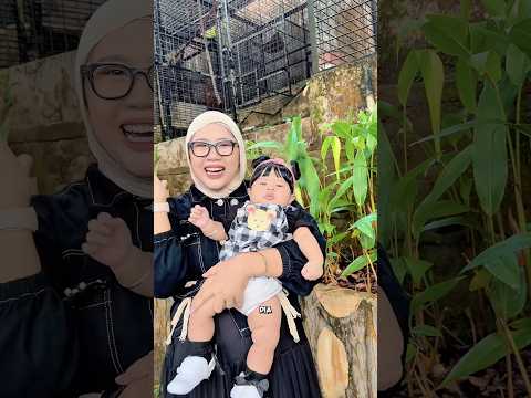 LIHAT HEWAN BINATANG YANG PALING BESAR‼️?? thumbnail