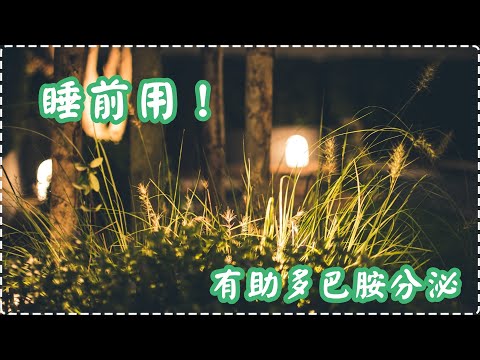 睡前用！ 有助多巴胺分泌 鋼琴輕音樂【1小時】 入眠、放鬆、舒緩、休息 Relaxing Music, Soothing Music thumbnail