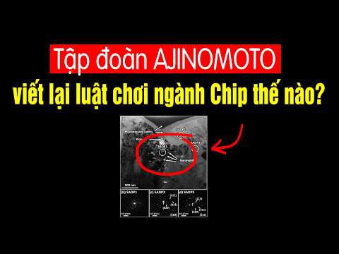 Tập đoàn Ajinomoto đang viết lại luật chơi ngành chip thế nào? thumbnail
