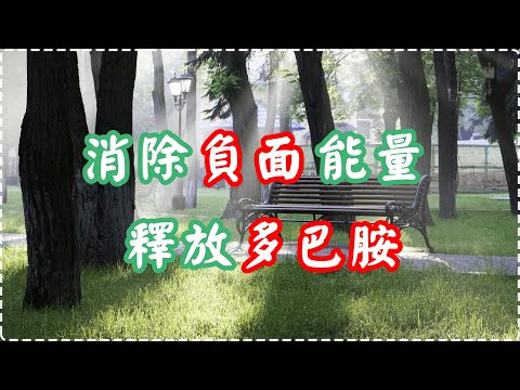 輕音樂 幫助減壓 消除負面能量 釋放多巴胺 入眠、放鬆、舒緩、休息【1小時】 Relaxing Music, Soothing Music thumbnail