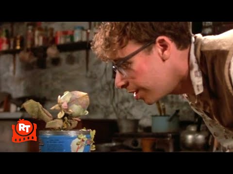 Little Shop of Horrors (1986) - Grow For Me Song (3/8) | Movieclips thumbnail