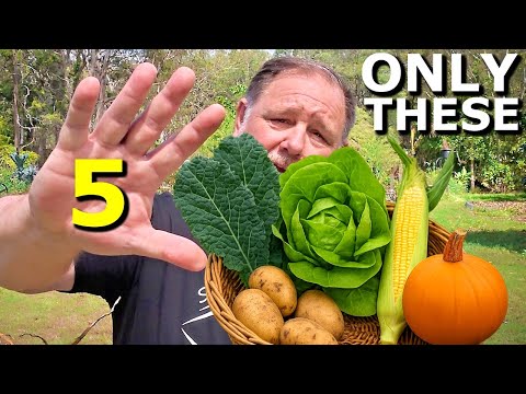 If I Could Only Grow 5 Vegetables I’d Pick These thumbnail