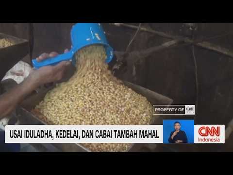 Usai Iduladha, Kedelai dan Cabai Tambah Mahal thumbnail
