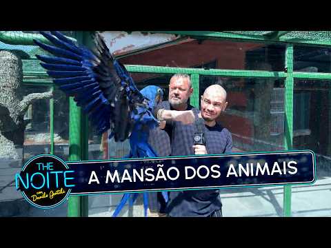 Estreia: Iguinho Visita Richard Rasmussen e conhece A Casa dos Bichos | The Noite (21/05/26) thumbnail