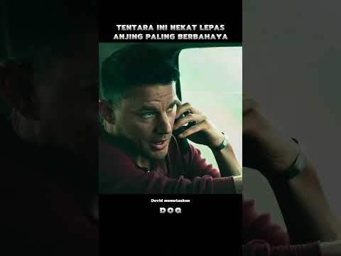 Tentara Ini Nekat Lepas Anjing Paling Berbahaya ‼️  #reviewfilm thumbnail