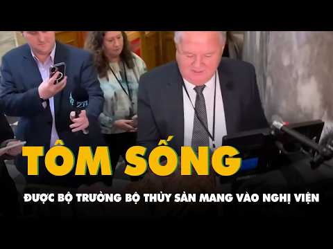 Bộ trưởng Bộ Thủy sản mang tôm sống vào Nghị viện, tuyên bố sẽ ăn sau phiên họp thumbnail
