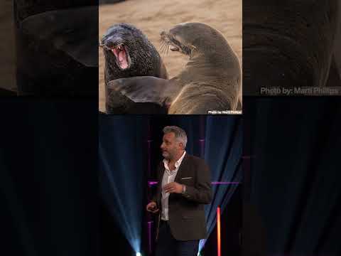 The best free comedy show may be in your backyard #TEDTalks thumbnail