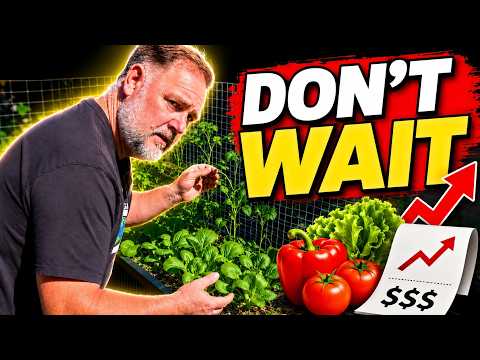 Food Prices Are About to Surge… Start Growing NOW thumbnail