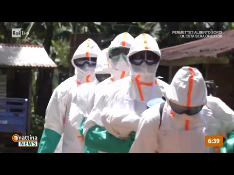 Ebola: in quarantena dottoressa tornata dal Congo - 1Mattina News 28/05/2026 thumbnail