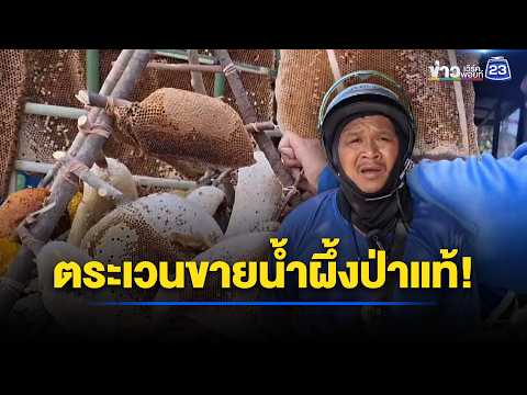 สู้เศรษฐกิจ! ตระเวนขายน้ำผึ้งป่าแท้ l ตลาดข่าว - ข่าวเช้าเวิร์คพอยท์ l 4 มิ.ย.69 thumbnail