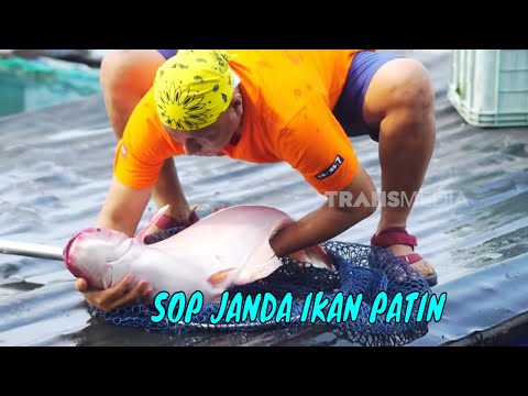 Sop Janda Ikan Patin | JEJAK SI GUNDUL (25/05/26) thumbnail