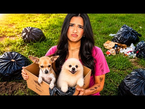 RECUPEREI OS MEUS CACHORROS DE VOLTA COM A MÉDICA LOUCA!  thumbnail