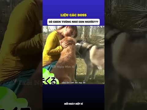 Liệu các boss có biết ghen như con người??? thumbnail