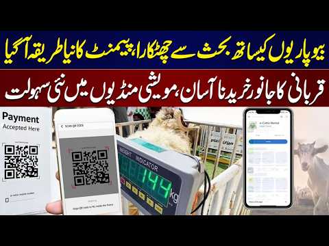 No More Price Arguments in Cattle Markets While Buying Animals For Qurbani | New Payment Method thumbnail
