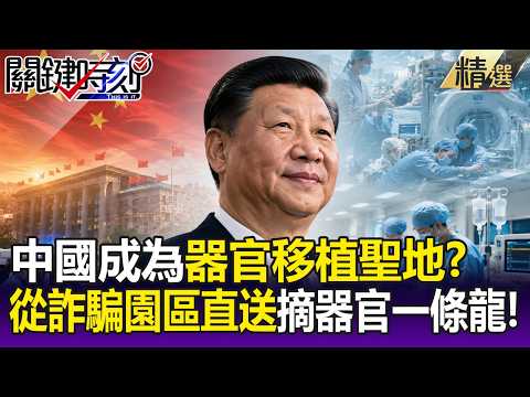 中國成為器官移植聖地！？ 國家級重點產業…習近平「活到150歲」不是夢！-【關鍵懶人包】林廷輝 thumbnail