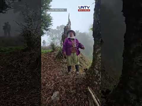 Isang gov’t aircraft, bumagsak sa may kagubatan ng Tuba, Benguet thumbnail