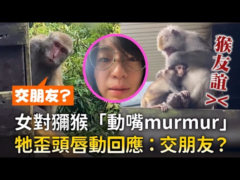 女對獼猴「動嘴murmur」　牠歪頭唇動回應：交朋友？｜#寵物雲 thumbnail