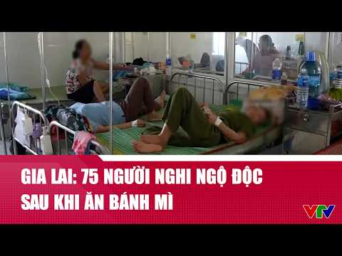 Gia Lai: 75 người nghi ngộ độc sau khi ăn bánh mì | Cụm tin | VTV24 thumbnail