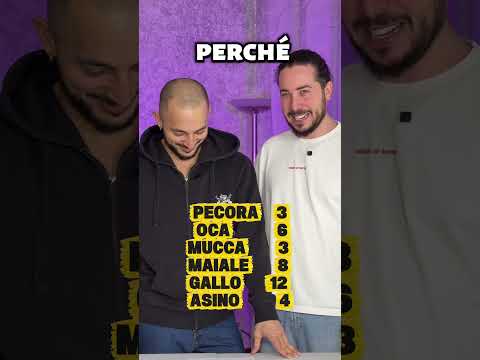 Risolvi questa sequenza degli animali 😂 thumbnail