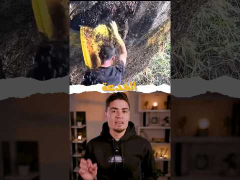ازاي تستحمى بالنحل من غير ما يلدغك! thumbnail