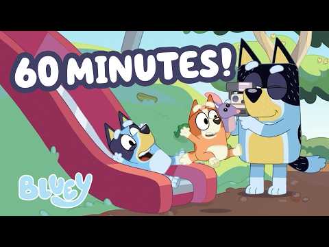 Bob Bilby's Adventure! 💙 🧡 | Bluey Clip Compilation | Bluey thumbnail