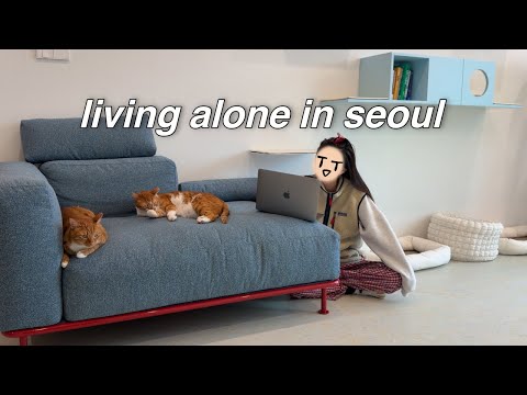 ?️ 거실 룸투어 : 바닥재, 소파, 블라인드, 캣워커 정보ㅣ밀린 화상영어, 심리상담ㅣ위키드 집착 시작 thumbnail