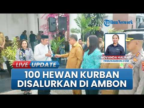 Pemkot Ambon Bagikan 100 Hewan Kurban untuk Umat Muslim, Jumlah Meningkat Meski Efisiensi Anggaran thumbnail