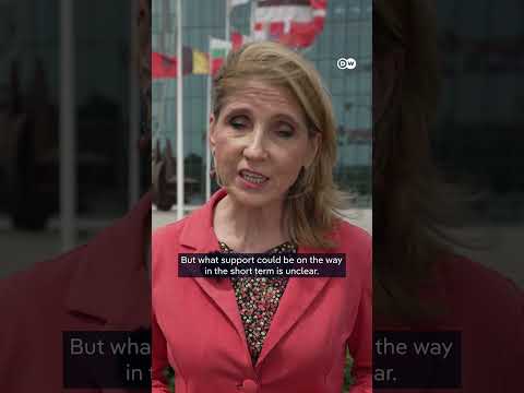 Russian drone incident on NATO soil: what happens now? | DW News thumbnail