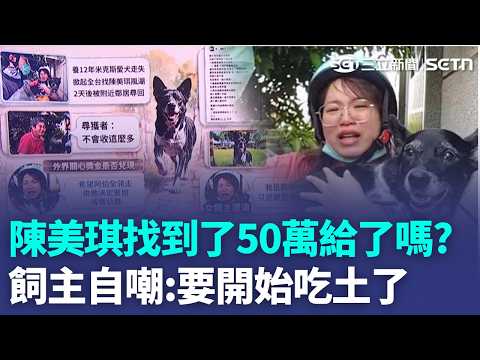 「陳美琪」找到了！50萬懸賞金給了嗎？ 飼主PO文喊「履行承諾」自嘲：要開始吃土了｜新聞一把抓 2026｜三立新聞台 thumbnail