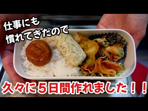仕事にも慣れたので！久しぶりに５日間作れたお弁当記録 thumbnail